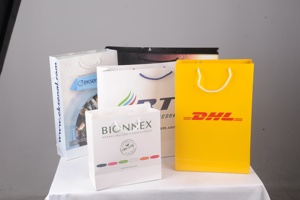 Sacs cadeaux en papier de luxe personnalisés, écologiques, recyclables, avec impression offset, logo personnalisé, pour usage domestique - Product Image 3