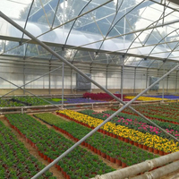 Kit de système d'agriculture verticale pour la production de salades hydroponiques à grande échelle en serre multi-chapelles en film PE