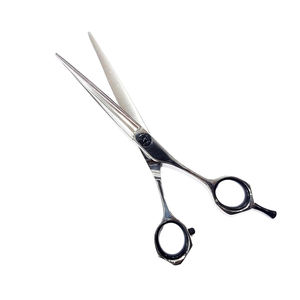 คุณภาพสูงผมกรรไกรความงามกรรไกรตัดผมสแตนเลสตรงมีดโกนตัดผมตัดผมกรรไกรสําหรับ Salon - Product Image 1