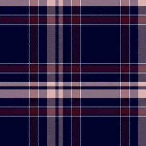 ผ้าตรวจสอบผ้าปอปลินเส้นด้ายย้อมสีคุณภาพสูงสำหรับการส่งออกระหว่างประเทศ - Product Image 1