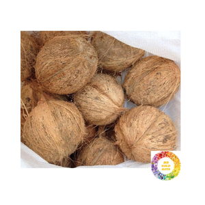 Coco maduro semi descascarillado fresco Ideal para bebidas de cocina de agua de coco rico Suministro a granel con carne blanca y textura firme - Product Image 6