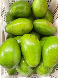 El mejor precio para aguacates frescos de alta calidad de Brasil Edición 2024 - Product Image 4