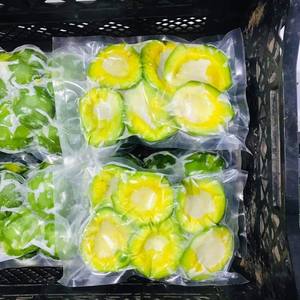 Aguacate Congelado de Buena Calidad, Delicioso Aguacate Congelado en Vietnam, Aguacate Congelado al Mejor Precio - Product Image 3