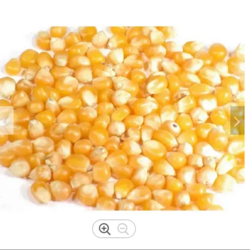 Сушеная Кукуруза/кукуруза 2 сорта, без ГМО, подходит для потребления человеком и корма для животных, происхождение: (Бразилия, Аргентина, США, Украина)