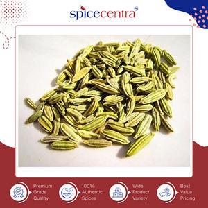 Semillas de Hinojo Enteras Secas de Alta Calidad, Singapur (M/C) 2025 - Auténticas, Calidad de Exportación, Vendedor Indio, Pedidos al por Mayor - Product Image 3