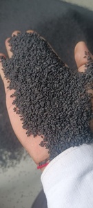 งาดำสำหรับปรุงรส เมล็ดงาสำหรับทำขนม งาดำอินเดีย เมล็ดงาดำคุณภาพสูง เครื่องทำงาดำ - Product Image 2