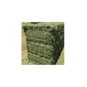 เม็ดอัลฟัลฟาตากแดดเป็นตัวเลือกอาหารที่มีเส้นใยสูงและน้ำตาลต่ำสำหรับม้าแพะและกระต่าย - Product Image 2