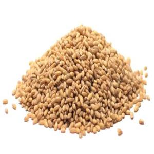 Thé en sachet de malt d'orge torréfié naturel, sans sucre ni caféine, boisson quotidienne hydratante douce pour l'estomac, vente en gros en vrac - Product Image 2