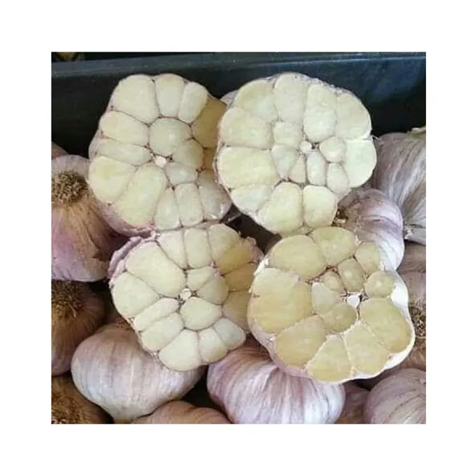 High Quality Good Taste Food Grade Nutritious and Natural Wholesale Dry Red/ White Garlic for Bulk Purchase