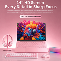 DIXIANG Laptop Economico da 14 Pollici Oro Rosa con Intel Celeron N3350, Grafica UHD, Pannello TN per Call Center e Inserimento Dati