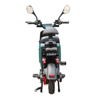 Moto de tourisme TIKING 1000W avec batterie 60V20Ah et vitesse maximale de 45 km/h pour la livraison