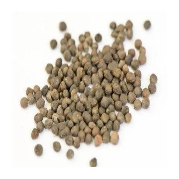 Qualità ibrido semi di fabbrica di vendita diretta di qualità naturale verdure fresche cavolfiore per la vendita a buon prezzo