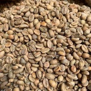 Café Arábigo Tostado de Vietnam, Precio al por Mayor, Gran Cantidad, Directo de Fábrica, Café Fuerte, OEM, Aroma Rico a Chocolate, Exportación - Product Image 3