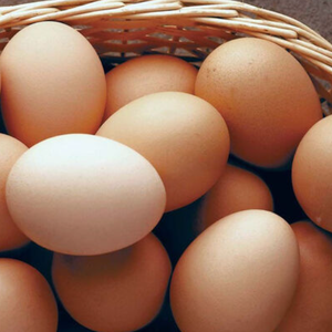 Huevos de mesa frescos para distribuidores y tiendas Calidad consistente con entrega confiable - Product Image 1