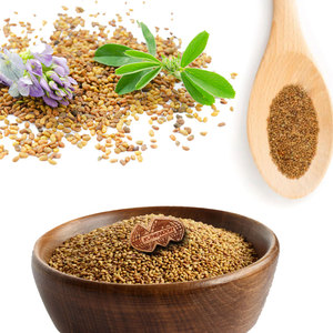 หญ้าชนิต | พืชอาหารสัตว์ที่อุดมด้วยสารอาหาร | การเพาะปลูกสมุนไพร - Product Image 6