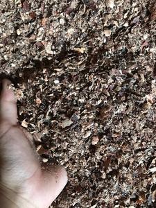 Cáscara de Anacardo Natural de Alta Calidad, Cruda, Procedente de Vietnam, para Alimentación Animal, con Textura Consistente y Material Limpio - Product Image 2