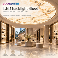 Feuille LED flexible RAYMATES UL ETL 2700K ultra-mince, feuille de rétroéclairage LED 24V pour plafond, escalier et îlot