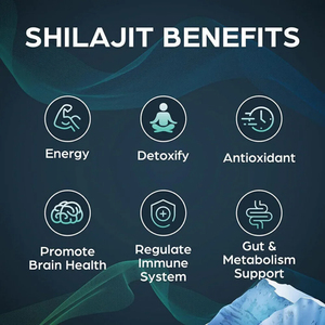 Private Label Himalayan Shilajit Resin Herbal Extract Food Grade Natural Energy Supplement in Bottle - Product Image 6