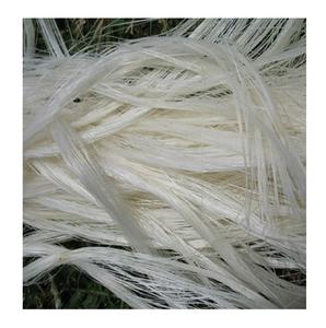 Vente de gros Fibre de sisal de France-Fibre de sisal blanche de qualité UG - Product Image 4