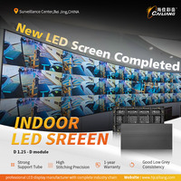 Module d'écran d'affichage LED intérieur Panneau LED intérieur 320x160mm P10 P8 P6.67 P5 P4 P3 P2.5 P2 P1.86 P1.66 P1.25 Fournisseur OEM