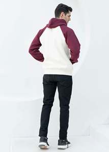 Sweatshirts à capuche style raglan Top Quality 100% Cotton Men's Clothing Zipper Streetwear Heavyweight Hoodie Wholesale - Product Image 4