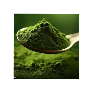 Poudre de feuilles d'épinard séchée par pulvérisation de qualité supérieure, de marque nouvelle et saine, additif alimentaire de qualité alimentaire, Herbojit International, 25 kg - Product Image 1
