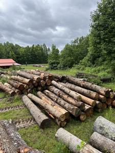 Tablas Redondas de Madera Maciza de Álamo de 1220x2440 mm para Muebles, Duraderas, Origen Estadounidense, con Soporte Técnico en Línea - Product Image 4