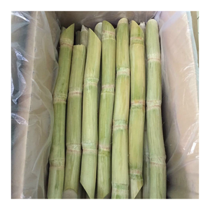 Bâtons de canne à sucre congelés de qualité d'exportation du Vietnam avec douceur naturelle pour la transformation du jus et diverses créations culinaires - Product Image 3