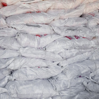 Yamy 5kg Sel de Table Biologique Fin en Poudre Emballage Sac/Sachet Additifs Naturels Pureté 99% Égypte Durée de Conservation 2 Ans