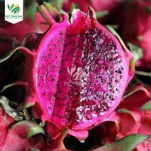 VIET THIEN PHU VTP/Agua orgánica de fruta fresca y congelada de dragón, conservada y envasada a granel, venta al por mayor directa de Vietnam - Product Image 6