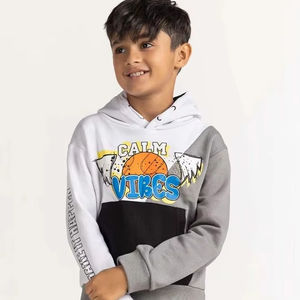 Sweatshirts pour enfants imprimés à fleurs pour garçons Pulls en coton colorés inspirés de la nature - Product Image 1