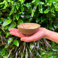 Vente en gros de petites coquilles de noix de coco pour desserts glacés, biodégradables, pour la maison, le camping, écologiques, bols jetables, design de dessin animé
