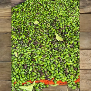 Producto agrícola Harada negra - Product Image 2