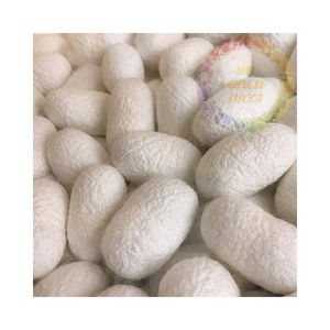 Capullos de seda cruda de Vietnam: alta calidad, precios bajos - Product Image 3