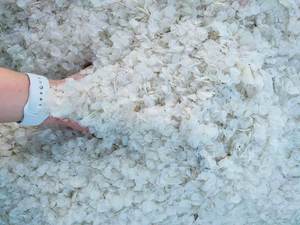 เกล็ดปลาแห้งจากปลานิล/ปลาช่อนจากเวียดนาม - Product Image 4