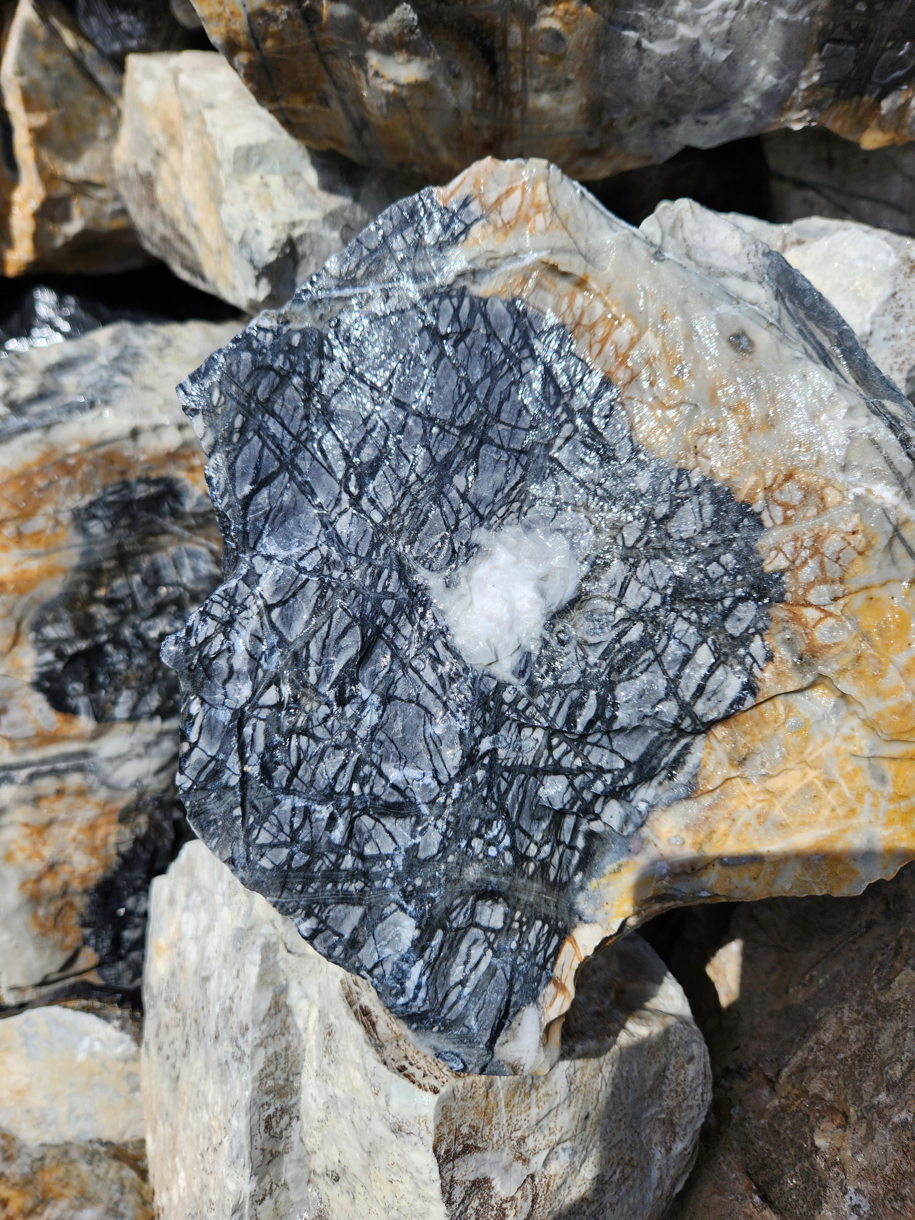 ธรรมชาติ