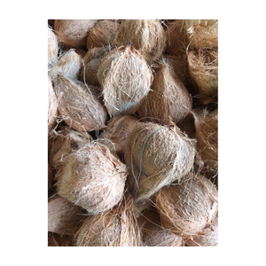 Coco semi descascarado de alto grado-Coco maduro para postres-Ingredientes de cocina con coco semi descascarado - Product Image 6