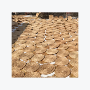 Alfombra tejida a mano versátil, alfombrilla de jacinto de agua y mantel individual, decoración clásica para el hogar, tendencia caliente 2024 - Product Image 1