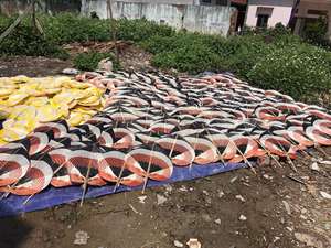 Abanicos de mano de bambú tropical tejido artesanal, diseño tradicional pintado para recuerdos, bodas, juegos de regalo artesanal vietnamita, Vietnam - Product Image 2