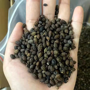 Graines de papaye séchées du Vietnam | Produit agricole de haute qualité - Product Image 3