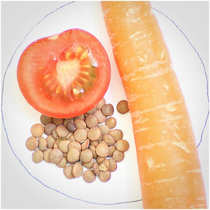 100% lentilles séchées naturelles pures disponibles dans un emballage en vrac à vendre avec des lentilles de qualité supérieure à l'exportation pour les acheteurs du monde entier - Product Image 5