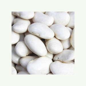 Haricots blancs biologiques de qualité supérieure Emballages en vrac bon marché Vente en gros Approvisionnement - Product Image 4