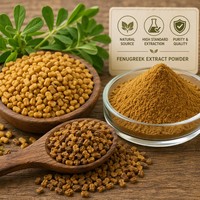 Extrait de graines de fenugrec de qualité alimentaire, 50 % de saponines HPLC, Trigonella Foenum Graecum, en poudre, fourni par l'usine