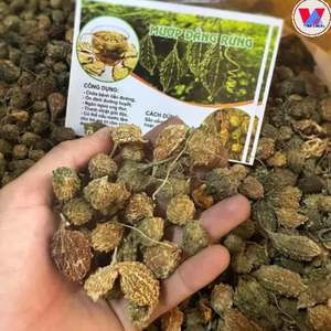 Fruit de melon amer séché en vrac, forme entière, ingrédient à base de plantes pour la transformation alimentaire et le thé - Product Image 5