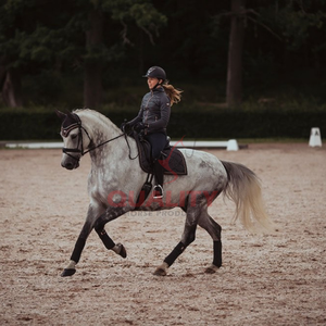Construction respirante et durable à doublure douce matelassée élégante pour les tapis de selle d'équitation quotidiens Tapis de selle anglais OEM - Product Image 3