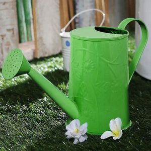 Decorative Best Selling Garden Decoration High Quality Watering Cane Light Green <b>Colour</b> <b>Set</b> of 2 - Product Image 5