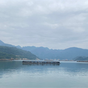 กรงปลาพลาสติก HDPE แบบลอยตัวกับดักสำหรับฟาร์มอาหารทะเลขนาดที่กำหนดเองปลอดภัยจากผู้ผลิตในเวียดนาม - Product Image 2