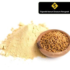Meilleur prix poudre d'extrait de graines de fenugrec extrait de plante de la plus haute qualité - Product Image 3