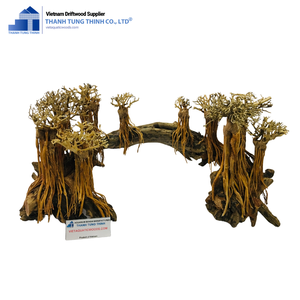Tendance chaude Taille Miniature Made In VietNam aquariums accessoires eau salée pour usage commercial et commercial Made In VietNam - Product Image 3