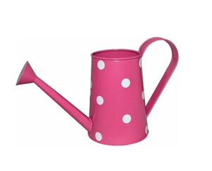 Diseño popular Regadera de metal Flor Plantas de agua Regadera Fabricación Precio al por mayor - Product Image 2